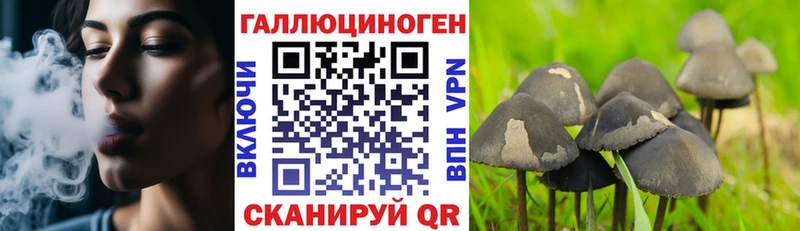 где можно купить наркотик  Кириллов  Псилоцибиновые грибы мухоморы 